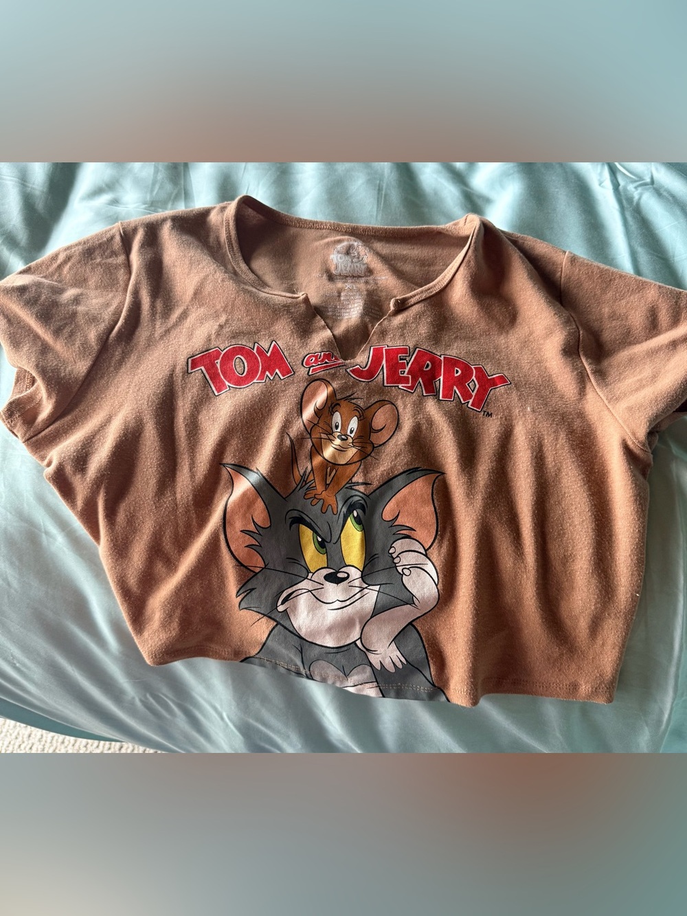 Tom and Jerry Cropped Graphic Tee in Rust